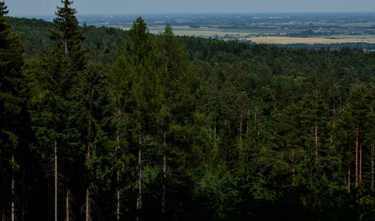 Protéger les territoires forestiers des incendies