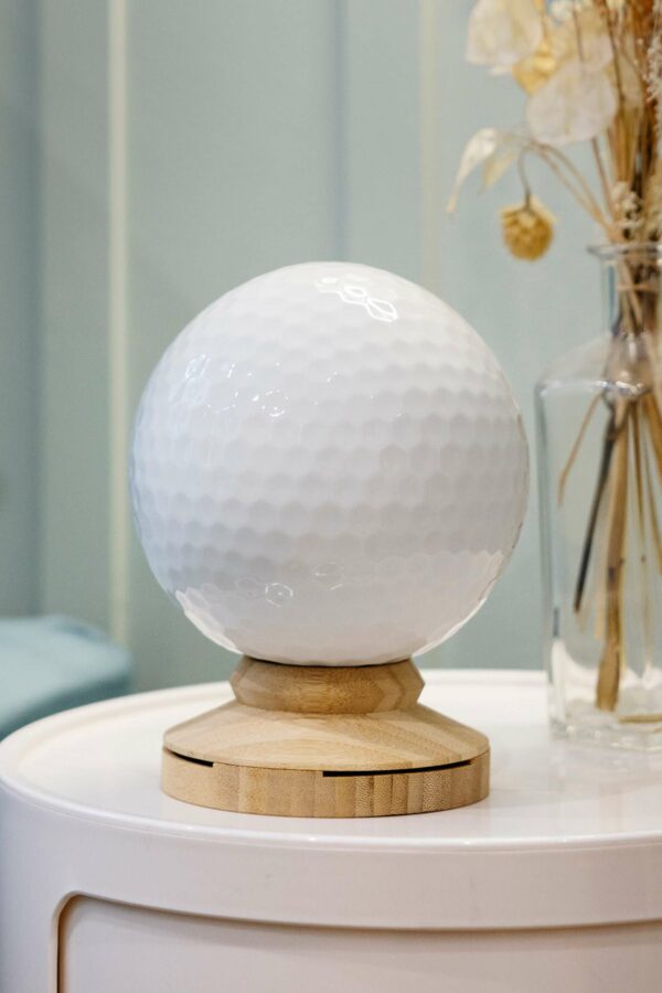 oGoXe-R Golf